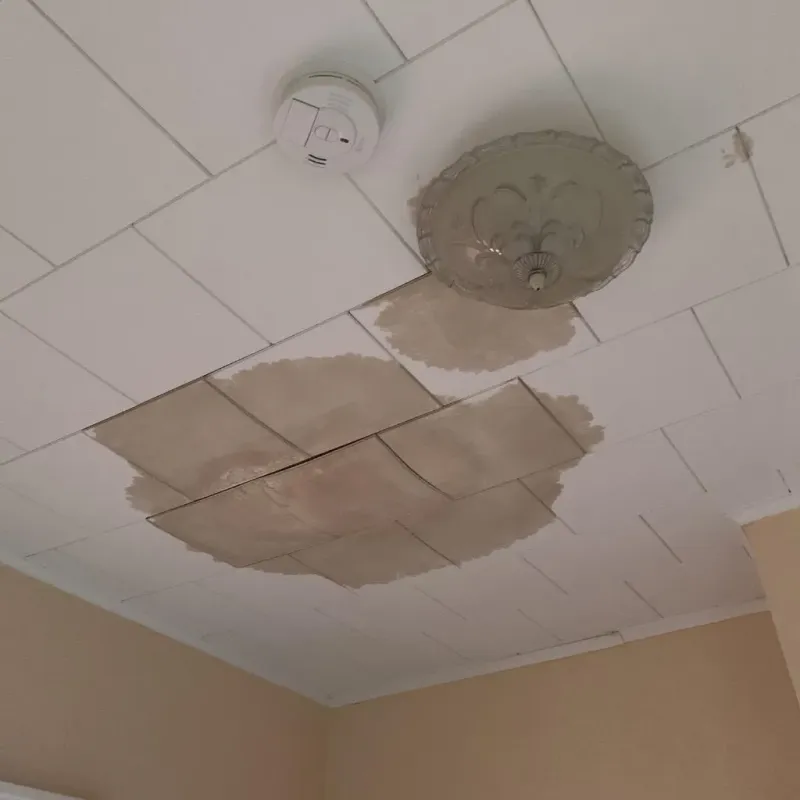 Ceiling Water Damage Repair in Lakemore, OH property